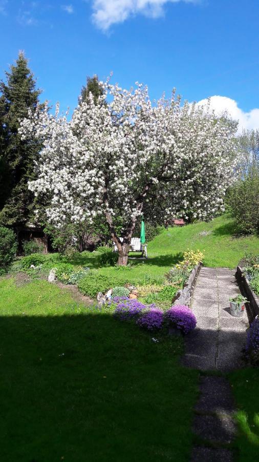 Appartementhaus Theresia Bad Mitterndorf Kültér fotó